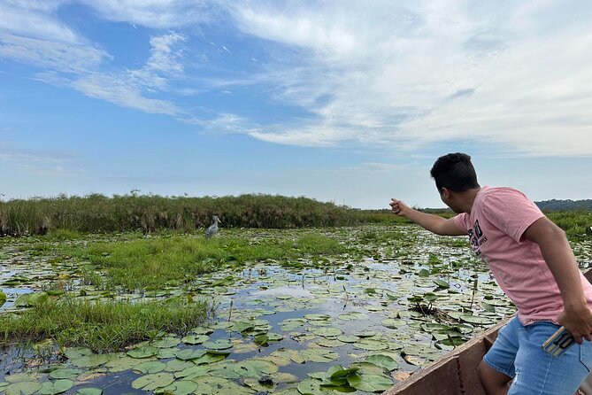 1/2 Mabamba Swamp Shoebill Tour - What the guides add to the experience