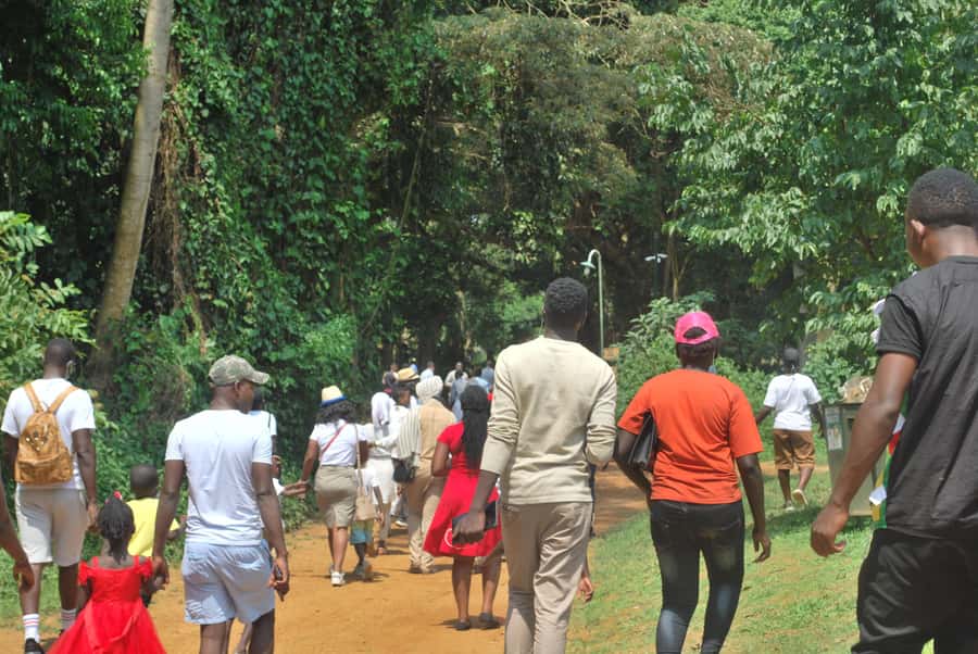 1-Day Best of Entebbe City Guided Walking Tour - Key points to know before you book