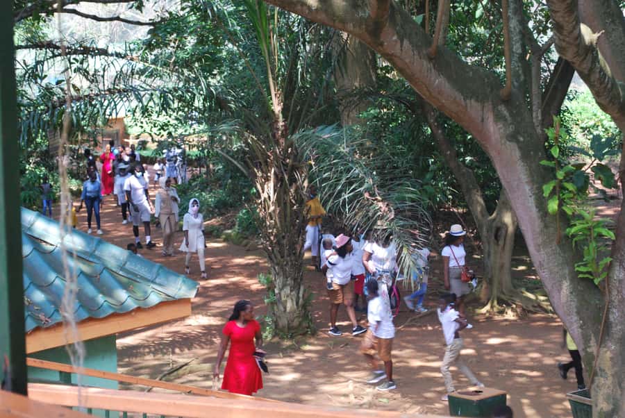 1-Day Best of Entebbe City Guided Walking Tour - Rolex street food and the local market