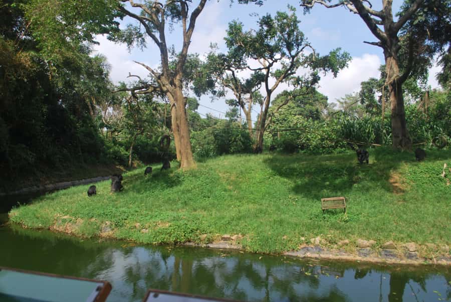 1-Day Best of Entebbe City Guided Walking Tour - Colonial landmarks around Muzinga Square