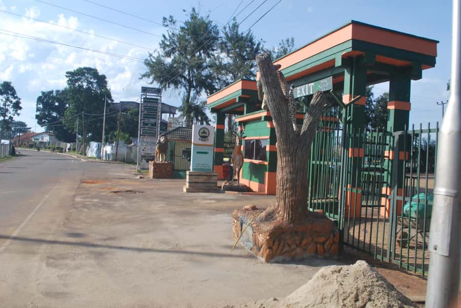 1-Day Best of Entebbe City Guided Walking Tour - Coffee at Gorilla Conservation Coffee