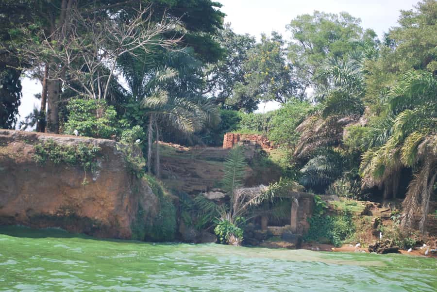 1-Day Best of Entebbe City Guided Walking Tour - Starting at Victoria Mall