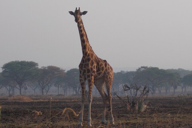 1 Day Lake Mburo Wildlife Safari - The 6:00 am departure from Kampala