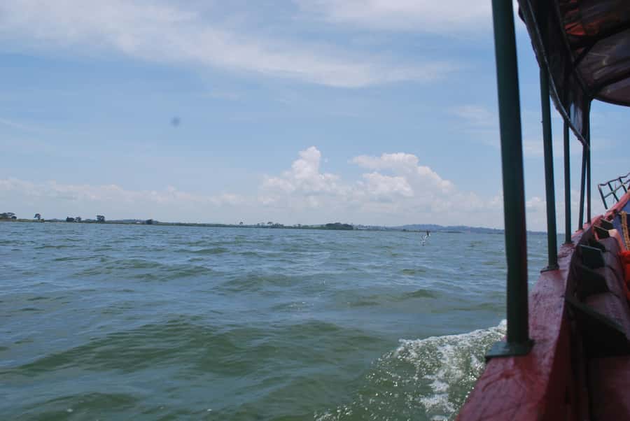 1-Day Mabamba Shoebill Birding Tour in Lake Victoria Entebbe - Crossing Lake Victoria by boat