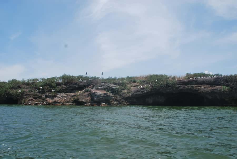 1-Day Mabamba Shoebill Birding Tour in Lake Victoria Entebbe - Switching to a wooden canoe in Mabamba