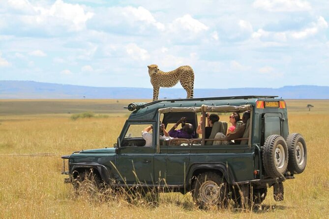10-Day African Safari in Uganda from Kampala - Bwindi gorilla tracking, the trip’s main event