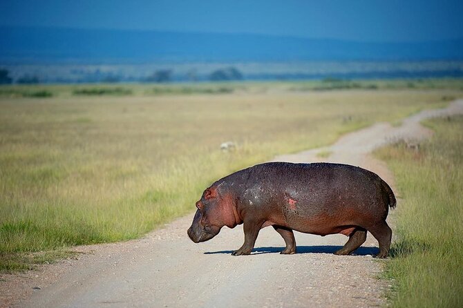 10-Day African Safari in Uganda from Kampala - The return through the equator