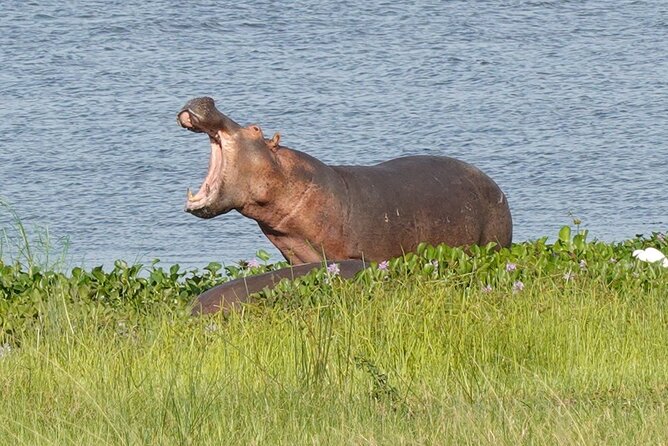 10-Day Big-7 Private Tour Experience in Uganda Safari - Day 8: Lake Bunyonyi for a slower day