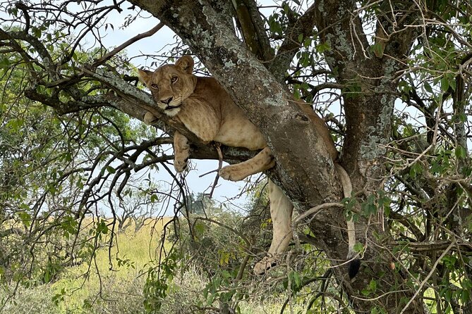 10 Day Uganda Memorable Lifetime Gorilla and Chimpanzee Safari - Why this 10-day Uganda route works