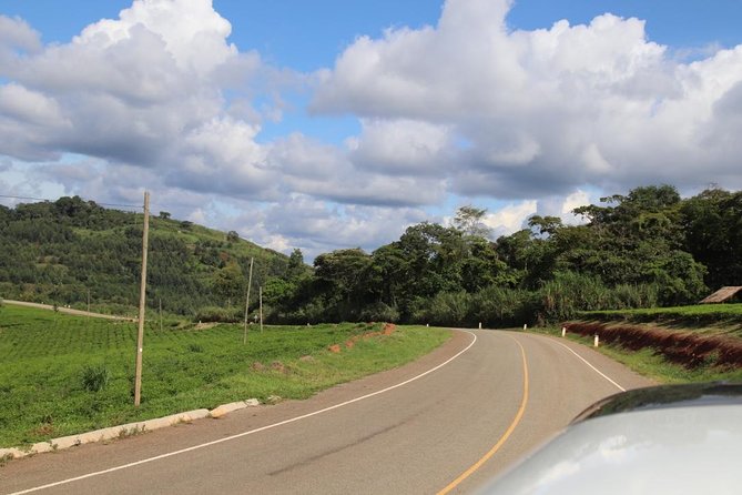 10 Day Western Uganda Budget Wildlife Safari - Day 6: toward Bwindi, with an optional Kalinzu trek