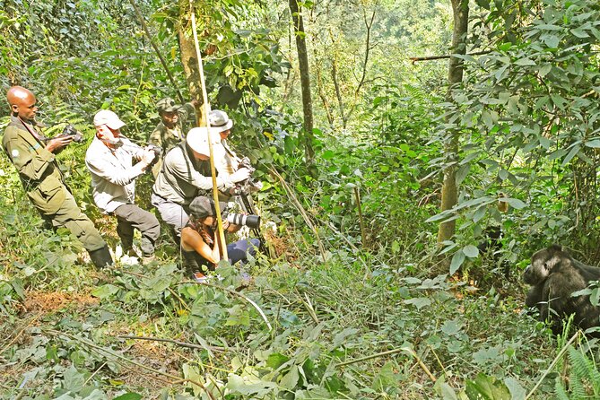 10 Days Affordable Gorilla Trekking Holiday - Day 5: Game drive and the Kazinga Channel