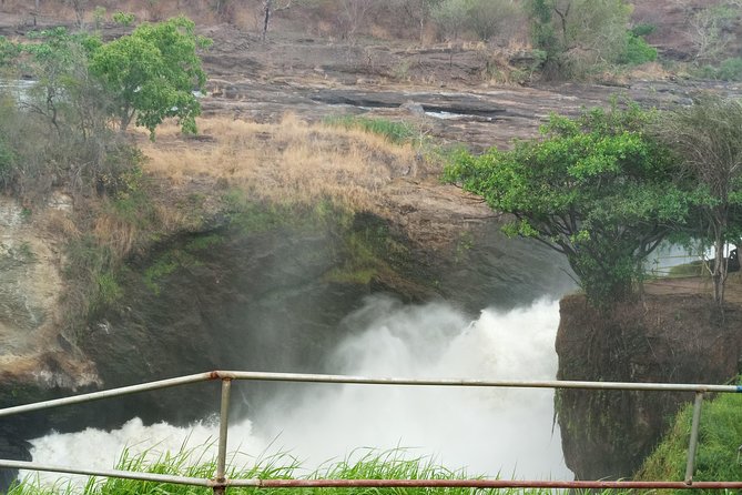 10 Days Uganda Gorilla & Chimpanzee Trekking Safari - What $5,000 per person really covers