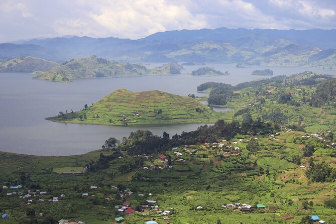 10-Days Uganda Gorillas and Chimpanzee Wildlife Discovery - Day 4: Tea country on the way to Kibale