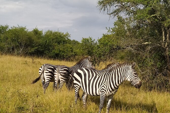 10 Days Uganda Safari with Gorillas - What the $4,500 price really covers