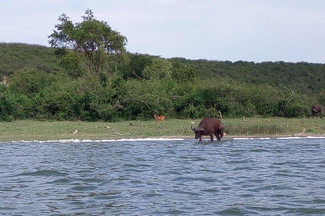 11 Days Uganda +Gorillas - Why this Uganda route works so well