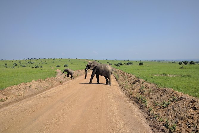 11 Days Uganda +Gorillas - Lake Bunyonyi adds a gentler final chapter