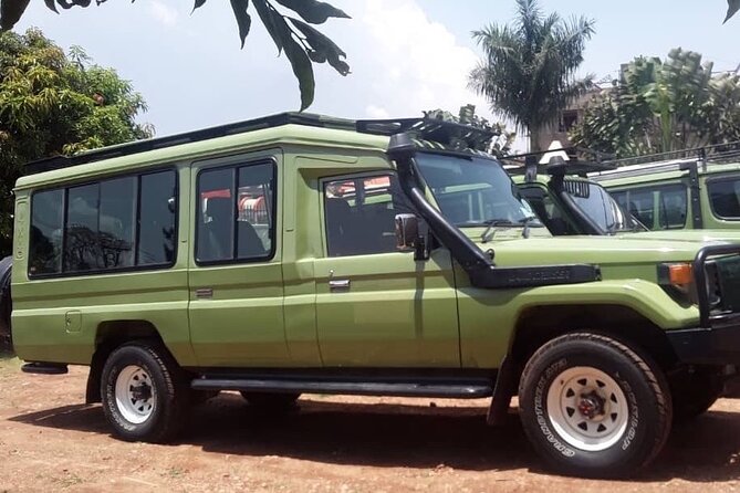 12-Day Moderately Priced Pearl of Africa - Uganda Private Safari - What the $2,959 price really covers