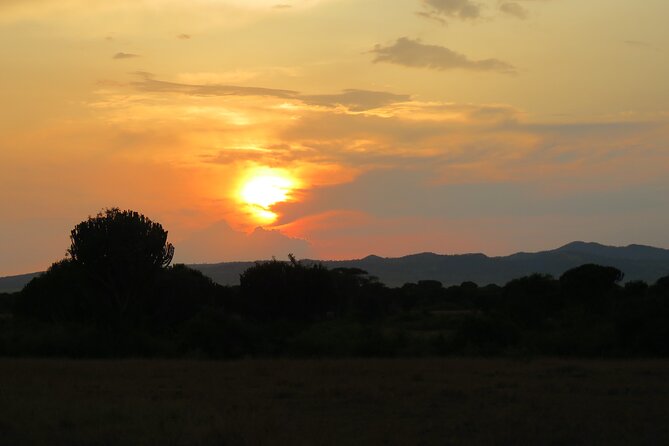 12-Day Moderately Priced Pearl of Africa - Uganda Private Safari - Day 3: Murchison game drive and Nile boat safari