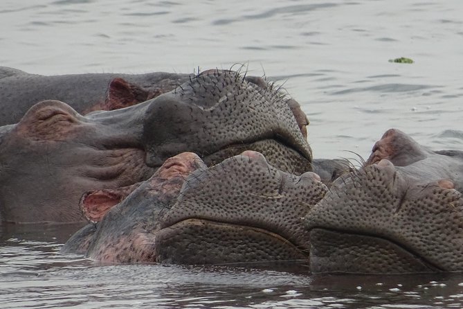 12 Days Memorable Experience tour in Uganda - Days 4 and 5: Moroto, blood traditions, biking, and gold