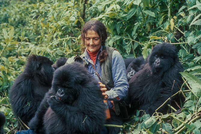 13 Days Wildlife Adventure Trip To The Pearl Of Africa - Days 1 and 2: From Entebbe to rhinos and Murchison Falls