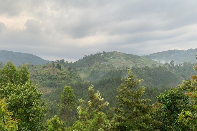 14 Day Pearl of Africa Uganda Classic Wildlife Safari - Days 7 and 8: Queen Elizabeth’s plains, channel, and Ishasha
