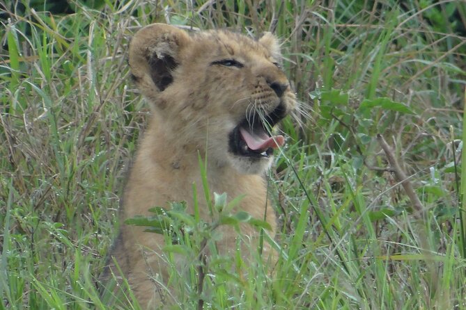 14 Days Uganda Safari Adventure, Gorilla Trekking and WildlifeTour - Day 12: Lake Bunyonyi by canoe and on foot