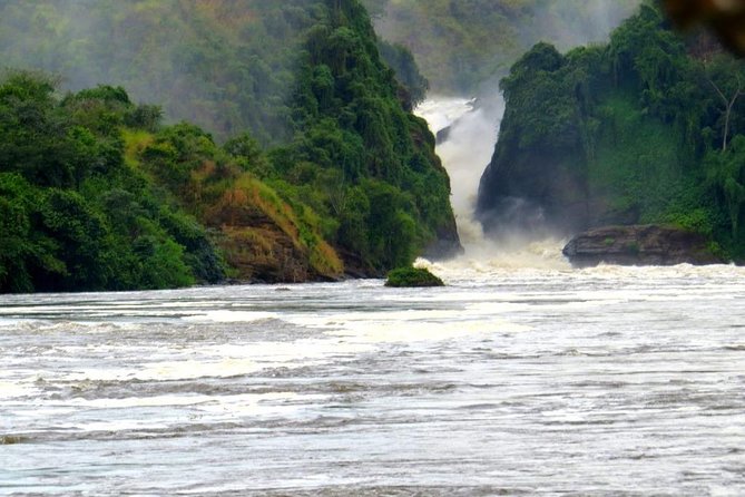 15 Day Gorillas, Chimps and Big 5 Safari Tour - Day 1: Rhinos at Zziwa on the road to Murchison Falls