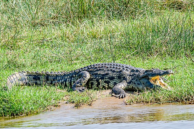 2 Day Guided Murchison Falls And Zziwa Rhino Trekking Safari - Hiking above Murchison Falls