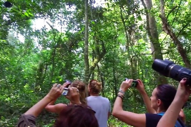 2 Days Chimpazee Safari In kibale Forest Park Uganda. - What the private format really gives you
