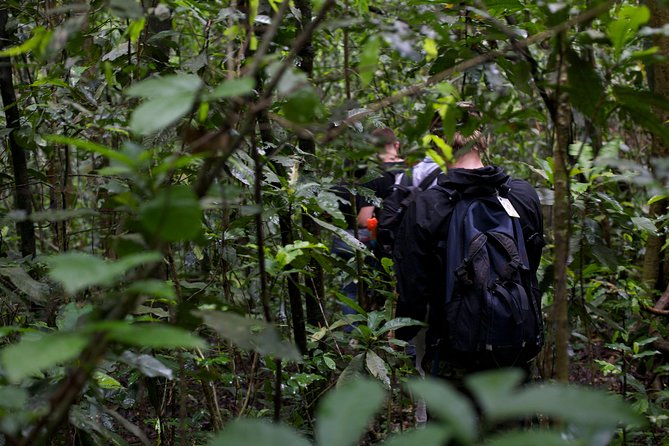 2 Days Chimpazee Safari In kibale Forest Park Uganda. - What the $1,850 price includes