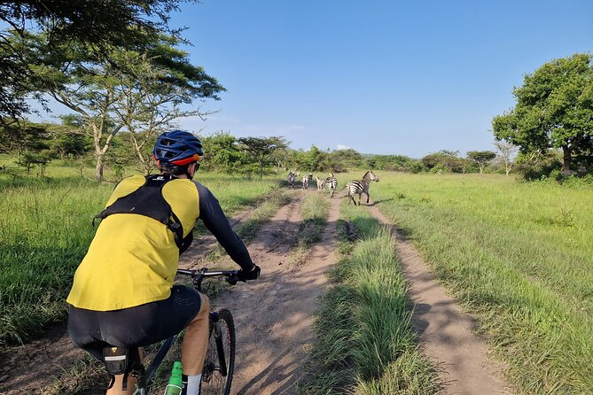 2 Days Cycling Safari To Lake Mburo National Park - Key points at a glance
