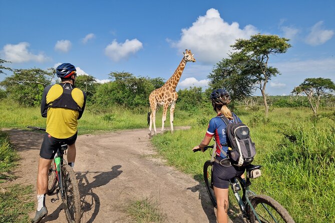 2 Days Cycling Safari To Lake Mburo National Park - Riding inside the park