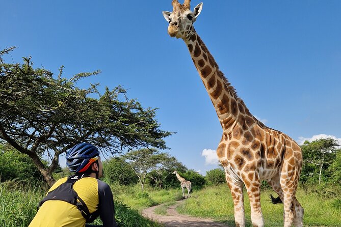 2 Days Cycling Safari To Lake Mburo National Park - The overnight stay and optional night activity