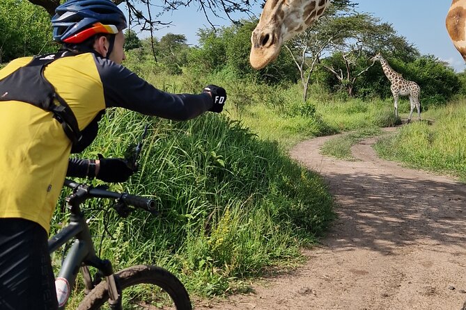 2 Days Cycling Safari To Lake Mburo National Park - How much value do you get for $575?