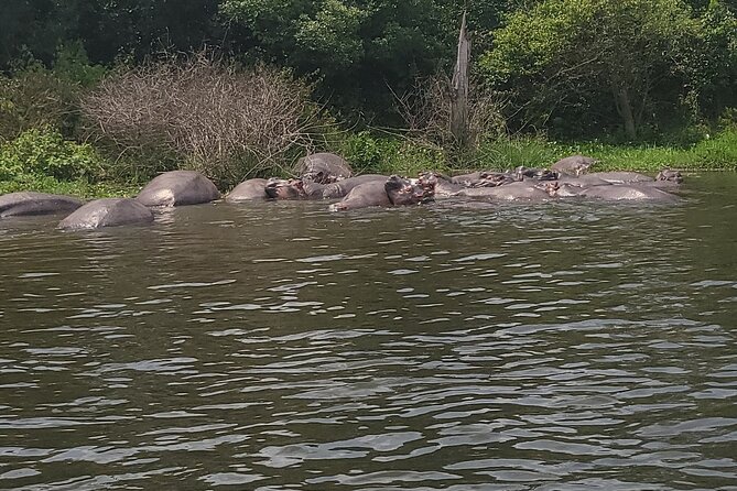 2 Days Murchison Falls Park Vacation - The two-day schedule is efficient but demanding