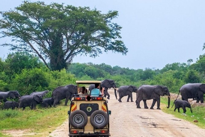 2 Days Murchison Falls Park Vacation - Entering Murchison Falls National Park