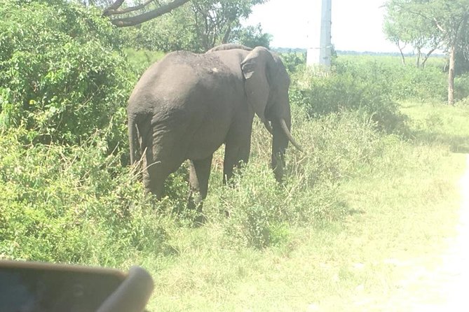 2 Days Safari To Queen Elizabeth National Park with Cruise - Why the Kazinga Channel makes this short safari worthwhile