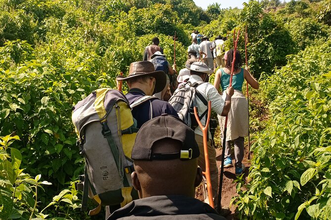 2 Days Sipi Falls Hike and Coffee Tour - Booking details worth confirming
