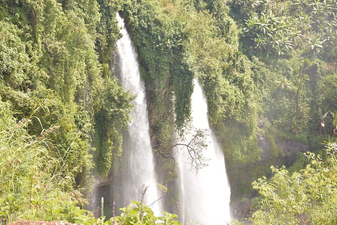 2 Days Sipi Falls Hike and Coffee Tour - The evening coffee tour in Kapchorwa