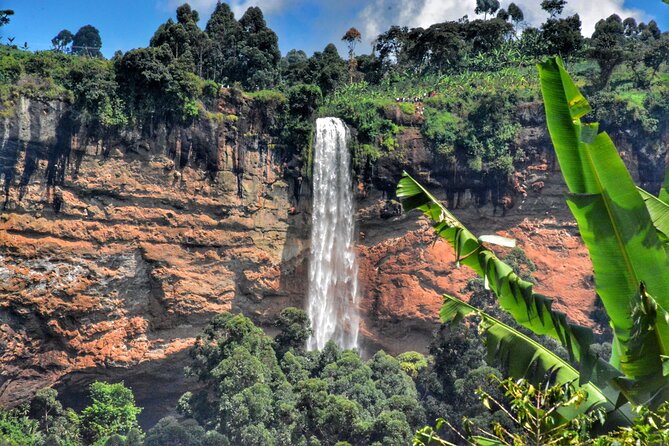 2 Sipi Falls hike and Coffee Tour Experience - Price, value, and the costs to check first
