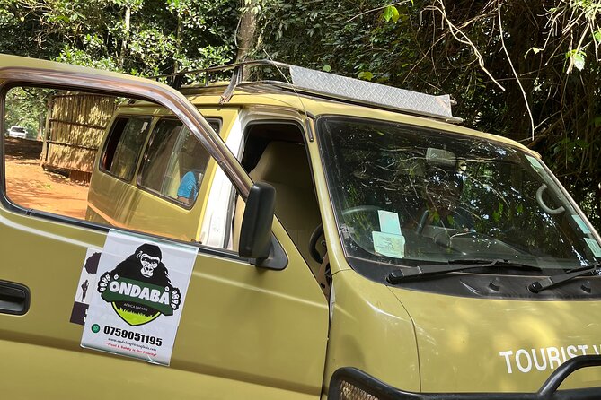 2Days Murchison Falls NP Safari - The return to Kampala after lunch