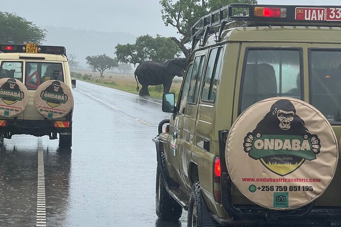 2Days Murchison Falls NP Safari - What the $745 price really buys you