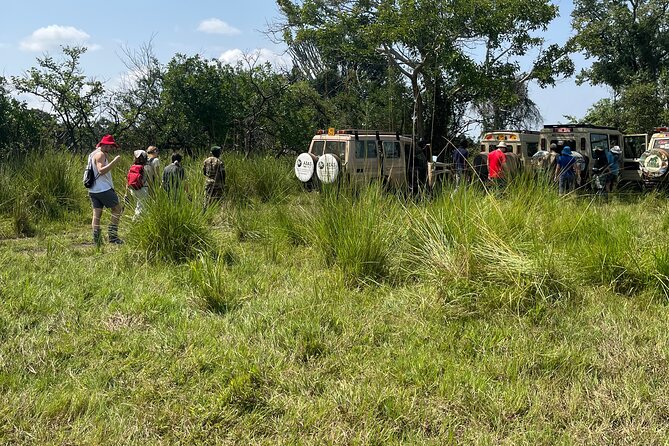 2Days Murchison Falls NP Safari - The Nile cruise and its river wildlife