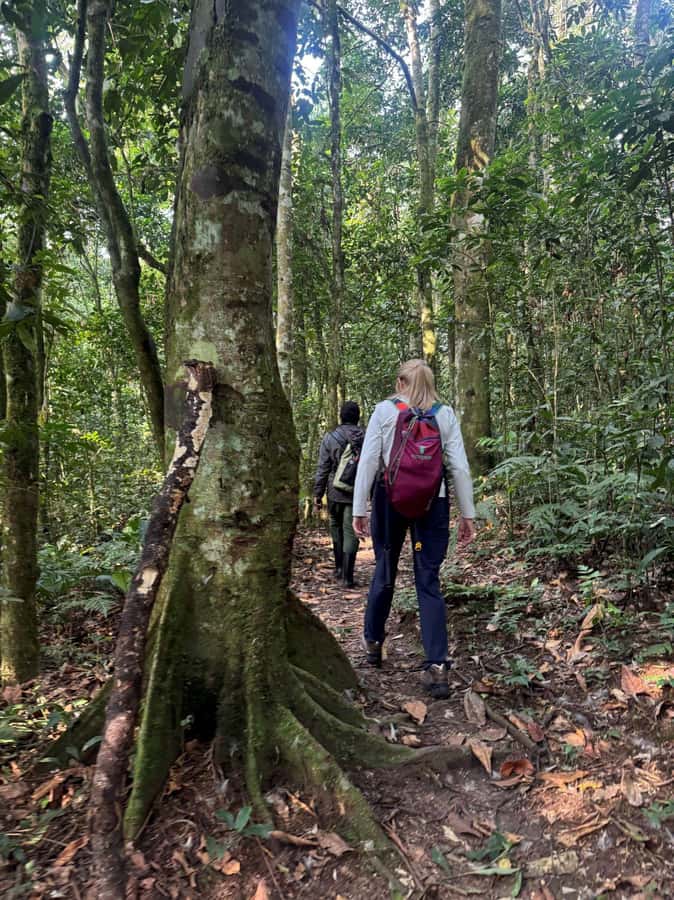 3-Day Gorilla Experience In Uganda - What the $1,850 price covers