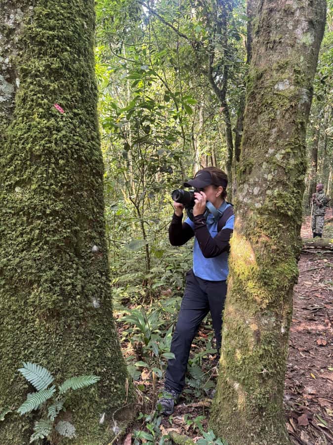 3-Day Gorilla Experience In Uganda - FAQ