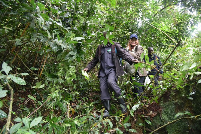 3-Day Gorilla Trekking safari in Bwindi Impenetrable Forest - The private vehicle makes a major difference