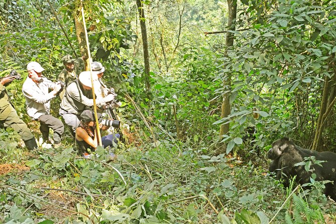 3 Day Guided Gorilla Tracking Safari At Bwindi National Park - What the $2,320 price means