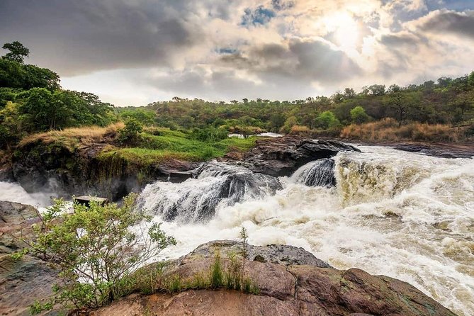 3-Day Mind Refreshing in Murchison Falls National Park - Day One: From Entebbe to Ziwa Rhino Sanctuary