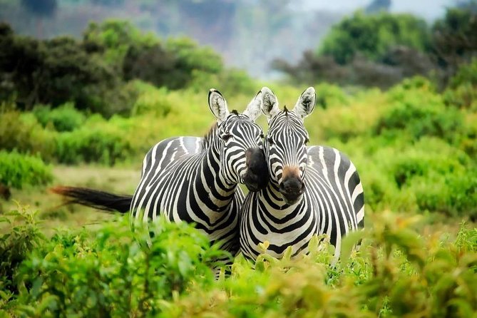3-Day Mind Refreshing in Murchison Falls National Park - The Private Format and Guide Quality
