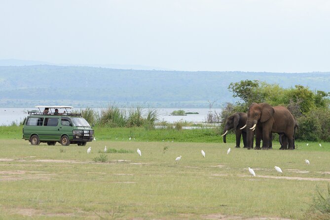 3 Day Murchison Falls' BIG 5 and Wildlife viewing Safari - Who should book this Murchison Falls safari